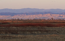 Autumn Hues Of Red Glow At Sacramento National Wildlife Refuge In California