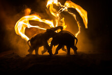 Battle Of Elephants. Elephant Fighing Silhouettes On Fire Background Or Two Elephant Bulls Interact And Communicate While Play Fighting. Elephants Touching Each Other Gently