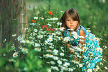 Wall Mural - Little girl portrait among wildflowers.