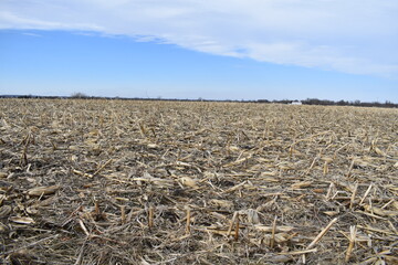 Sticker - Harvested Corn Field