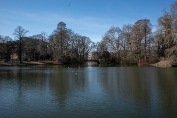  Outdoor tranquil scenery of pond and lake at Hofgarten park in Düsseldorf, Germany during winter and spring season.
