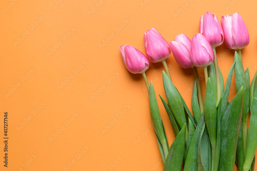 Beautiful tulip flowers on color background