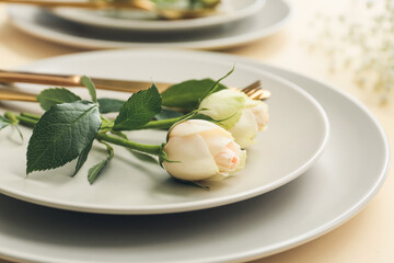 Beautiful table setting on color background