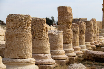 The ancient city of Palmerya in the Syrian desert in 2020