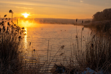 Wall Mural - sunrise over the lake on a frosty and misty morning