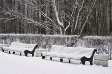 Snow-covered Benches In A Winter Park