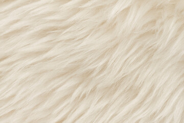 natural animal white wool seamless texture background. light sheep wool. texture of fluffy fur for d