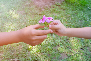 Child hand giving purple pink flowers with copy space. Friendship, kindness, caring, giving love and care concept.
