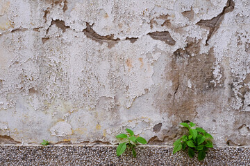 Poster - aged street white wall with crack texture