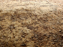 Red Dirt Ground With Stone Texture