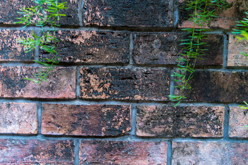 Wall Mural - Color painted brick wall. Texture of old dark brown, orange and yellow brick wall panoramic backgorund