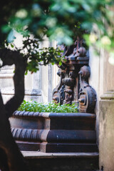 Wall Mural - fountain in the garden