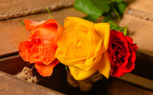 Close Up View Of Three Orange Rose And Red Roses In A Wood Basket. Floral Photography Detail.