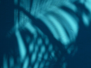 Sticker - shadow of palm leaf on blue concrete wall texture