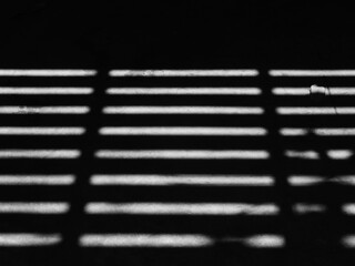 Poster - shadow of ceiling on concrete floor with autumn leaf, black and white style