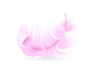 Wall Mural - Pink feather. Exotic bird, flamingo or parrot realistic flying fluff, bird soft bright falling twirled plumage, decor element for design vector object isolated on white background