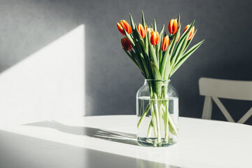 A bouquet of spring red-yellow tulips in a glass vase on a white table. Bright sunlight, harsh shadows. Minimalism. Copy space