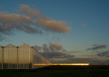 Greenhouses In The Netherlands At Dawn
