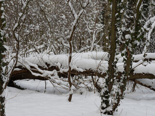 Poster - Winterlandschaft