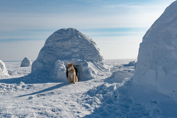 Wall Mural - Winter dwelling of Eskimos. Igloo. Eskimos village.