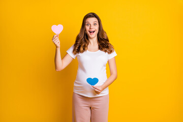 Poster - Portrait of attractive cheerful pregnant girl holding two paper heart unborn isolated over bright yellow color background