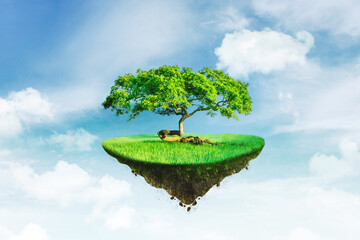 Wall Mural - Floating farmland soil on the sky with big tree