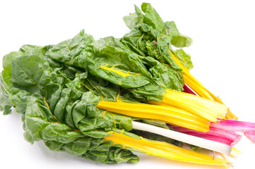 Wall Mural - swiss chard in yellow, pink red and green