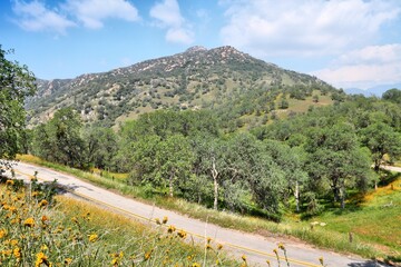 Wall Mural - Rural American road - California countryside