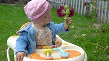 Baby Holding A Flower,the Baby Is Holding A Flower And Sitting In A Walker