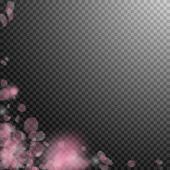 Sakura petals falling down. Romantic pink flowers corner. Flying petals on transparent square backgr