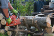 © Inga - Man sawed the log of a chainsaw