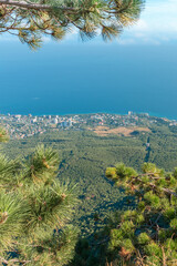 Wall Mural - top view through the crowns of mountain pines on the resort town against the background of the blue sea and sky