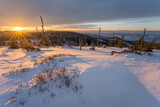 Fototapeta Na ścianę - Sunrise in the snow