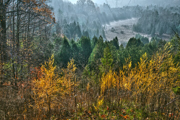 Wall Mural - Beautiful view of the valley in autumn with fog and mist