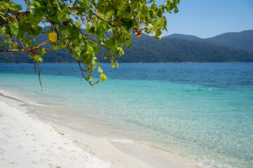 Empty sunny Good view the Andaman Sea is beautiful in clear blue color. And white sandy beaches at Koh Lipe island in Satun, Thailand