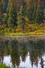 Sticker - Homer, Alaska, autumn, fireweed.