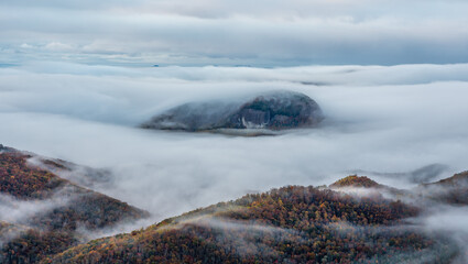 Wall Mural - Autumn sunrise on the Blue Ridge Parkway - Fog on Looking Glass Rock - near Asheville and Brevard - Pisgah National Forest