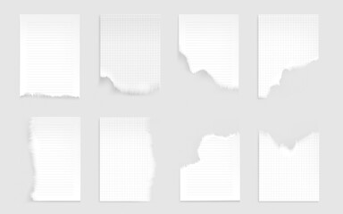 Poster - notebook sheets with torn edges. ragged lined and checkered blank pages for memo and daily planner e