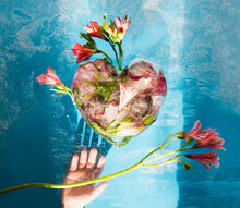  Spring Awakening.  Dreaming Of Spring. Heart Shaped Ice Cubes With Flowers  With Flowers  On Blue Frozen Background. Flat Lay.