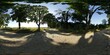 Avenule along with Trees in Summer HDRI Panorama