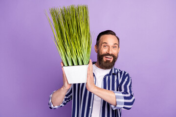 Photo of excited mature man hold vase home plant isolated over violet color background