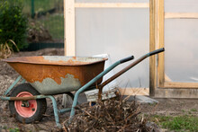 A Rusty Wheelbarrow Stands Near A Greenhouse. How To Store A Wheelbarrow. Gardener's Tips.
