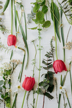 Beautiful Red Tulips, Daffodils, Eucalyptus Flowers Composition On Rustic White Wood, Flat Lay