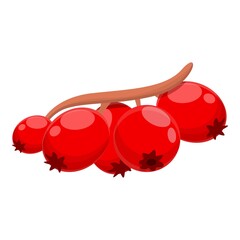 Poster - Hawthorn berry icon. Cartoon of hawthorn berry vector icon for web design isolated on white background