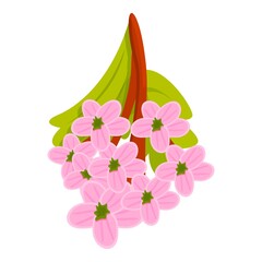Poster - Spring hawthorn flower icon. Cartoon of spring hawthorn flower vector icon for web design isolated on white background