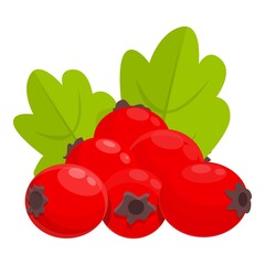 Poster - Forest hawthorn icon. Cartoon of forest hawthorn vector icon for web design isolated on white background