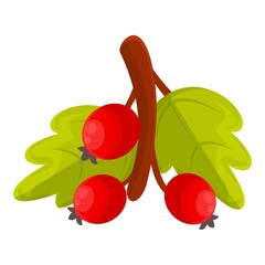 Poster - Nature hawthorn icon. Cartoon of nature hawthorn vector icon for web design isolated on white background
