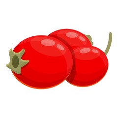 Poster - Hawthorn fruits icon. Cartoon of hawthorn fruits vector icon for web design isolated on white background