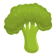 Poster - Broccoli vegetable icon. Cartoon of broccoli vegetable vector icon for web design isolated on white background