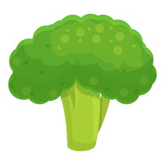 Poster - Raw broccoli icon. Cartoon of raw broccoli vector icon for web design isolated on white background